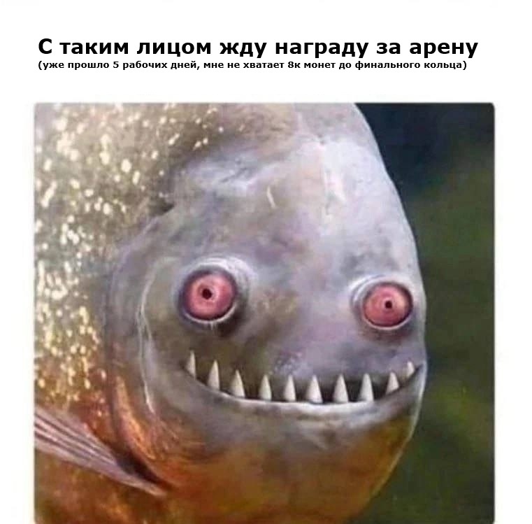 1muvUwHm8muHn9EB83UgJFYK-OCbv8LYmkvDybQY-ux_opRZFrm1YA7jQumZUi1UKWMu2mAx3F_nneVgAjA5YT1O.jpg