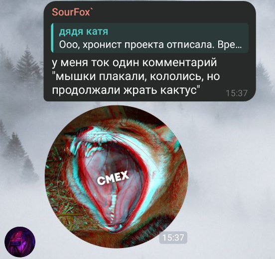 1pic.png