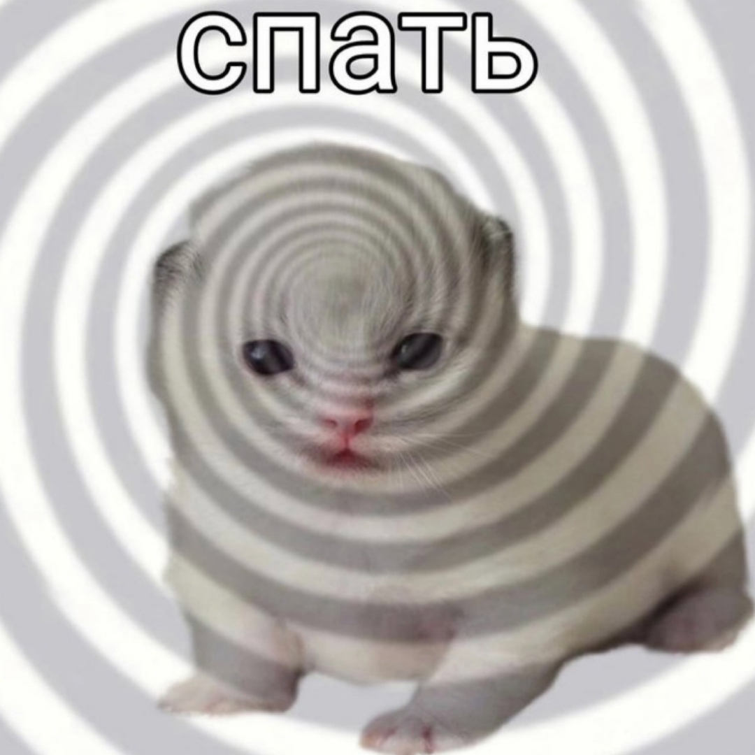 1Tivvo9qXwslOAoNL85AsAGofPNmhZ60MUY27lmmYxxMJUbrAuo0tdmbJlJlW1BveGPTBsi-rlrtdjN1Z-3qeOXm.jpg