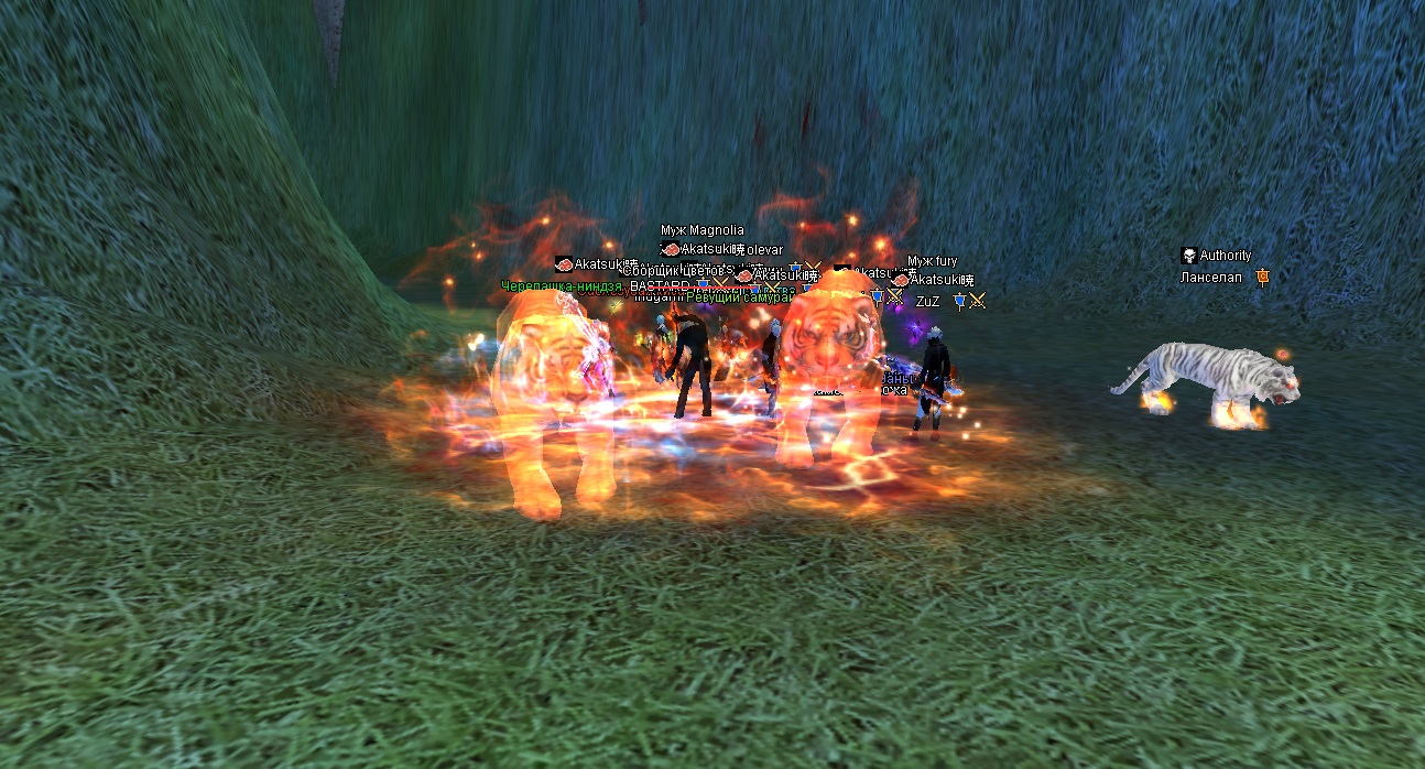 2022-0ввв7-11 02-15-34.jpg