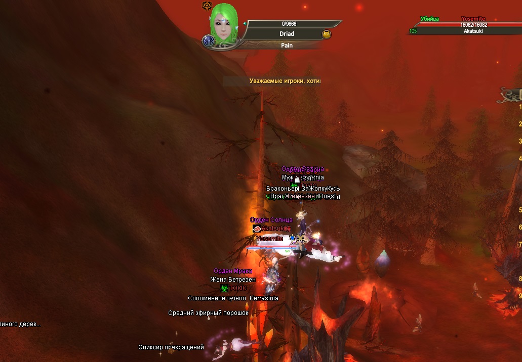 2022-07-19 14-32-47.jpg