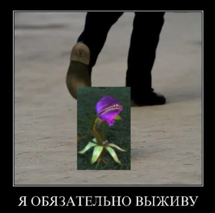 2024-01-30_14-41-54 (1).png
