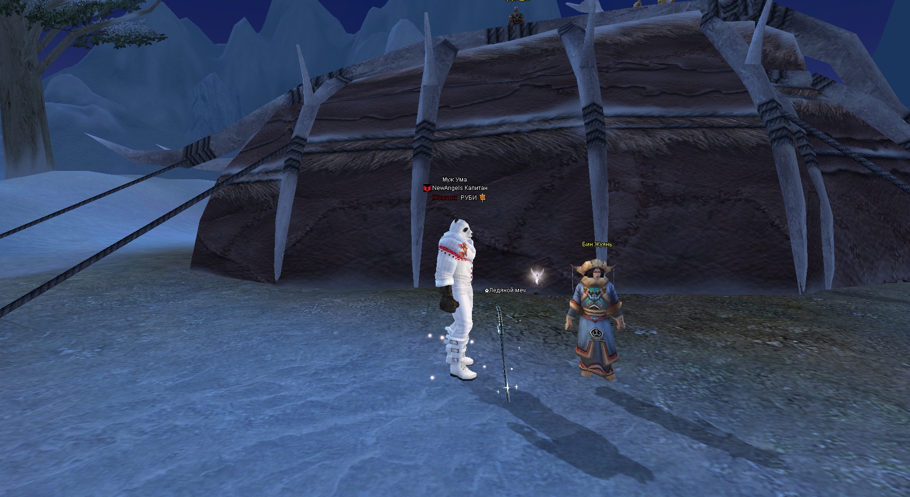 2024-05-12 12-54-46.jpg