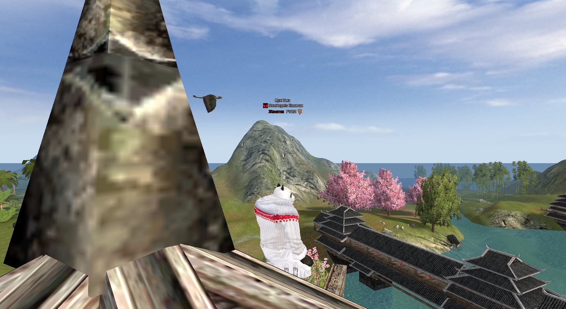 2024-05-12 14-15-09.jpg