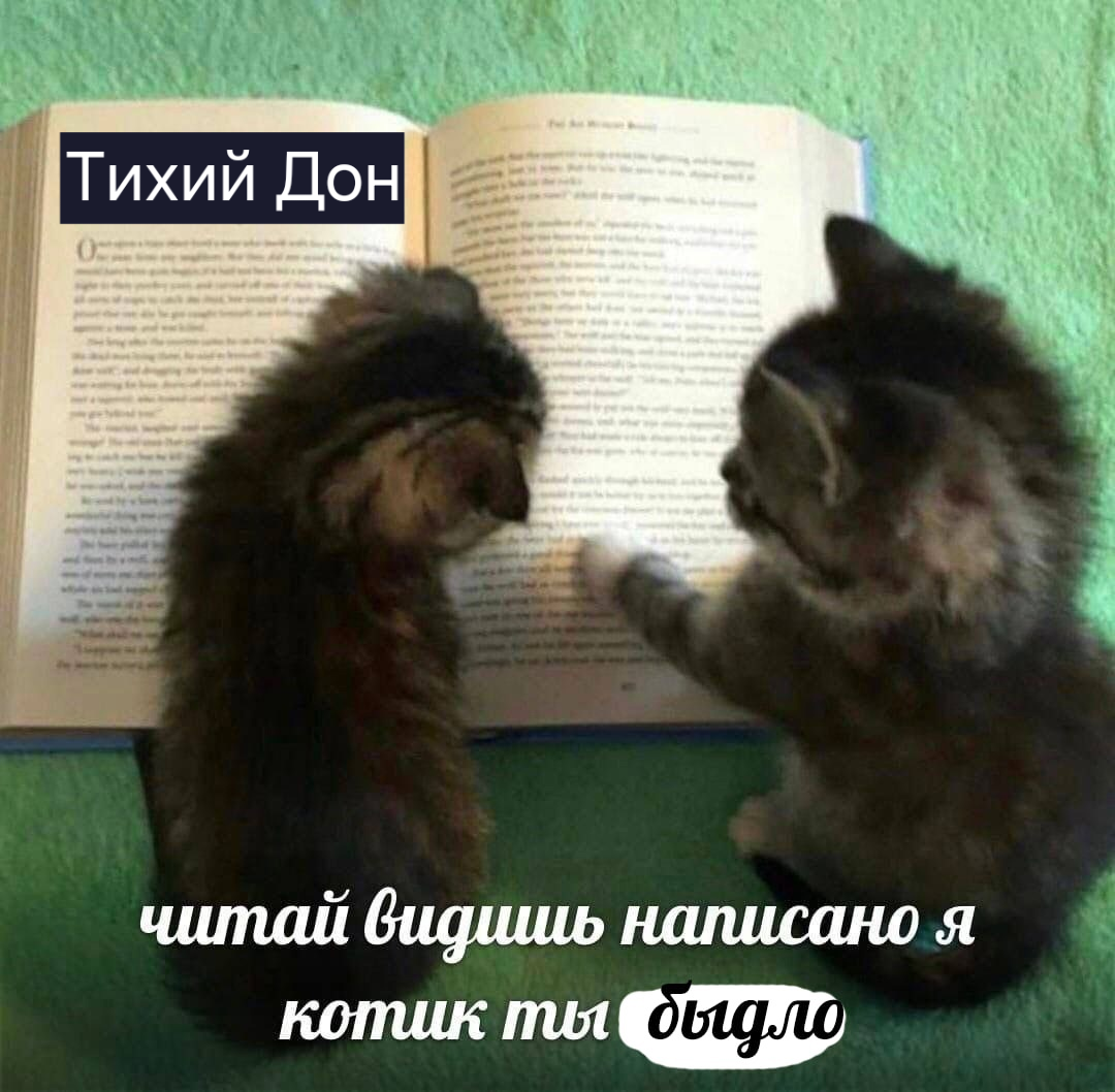 20240415_010041.png