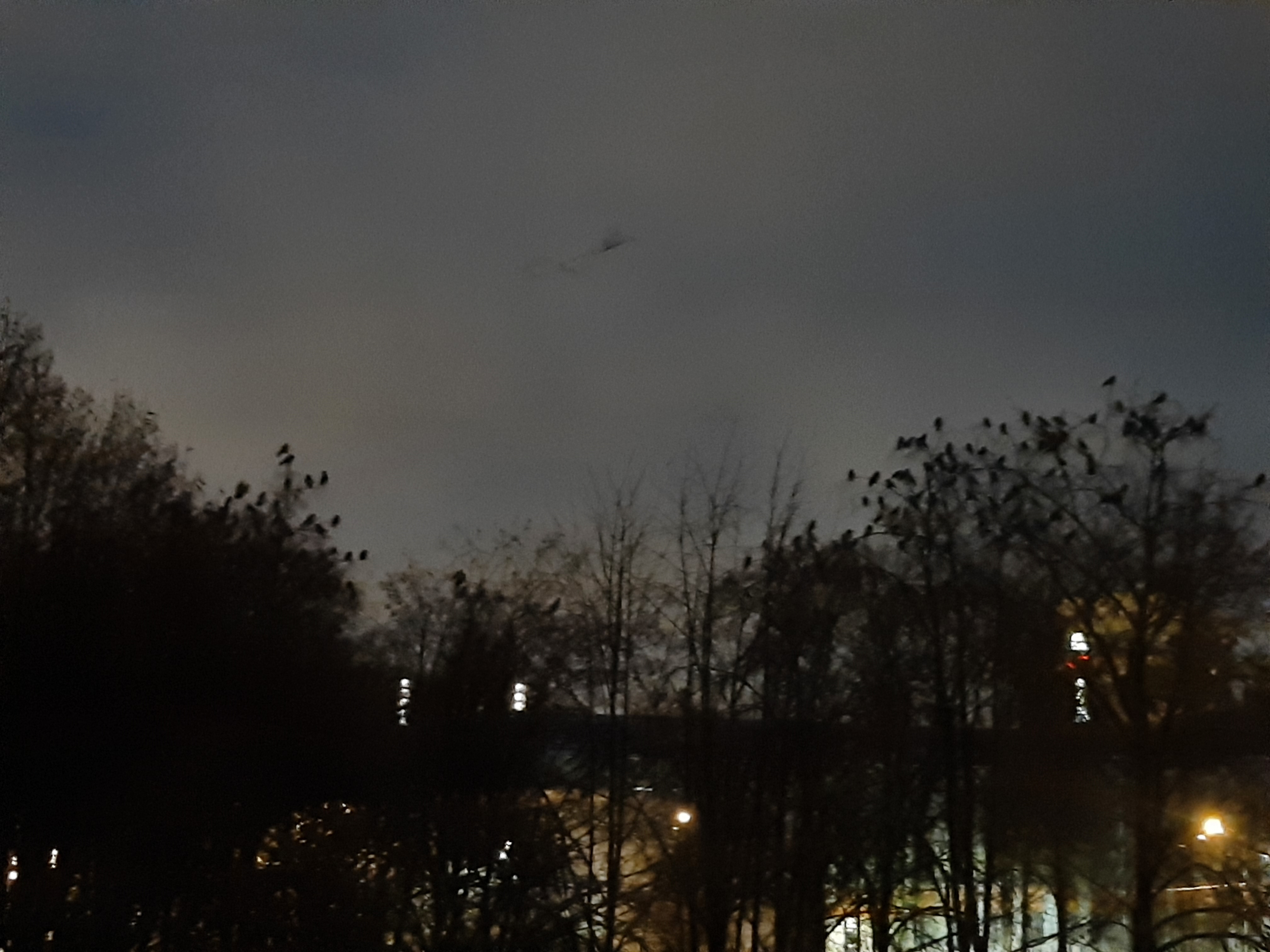 20251123_072609.jpg