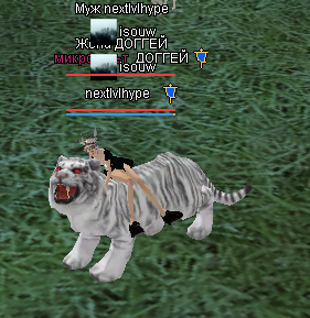 213213.PNG