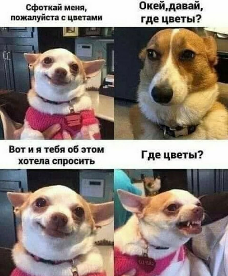 21LaLs4IGQA.jpg