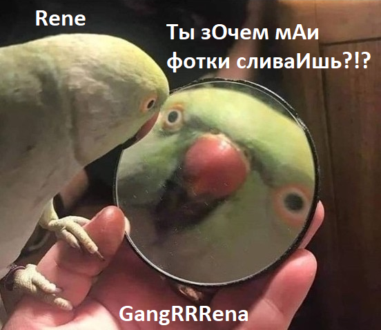 222.png