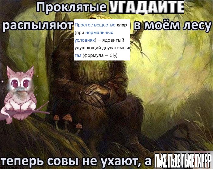 2251.jpg