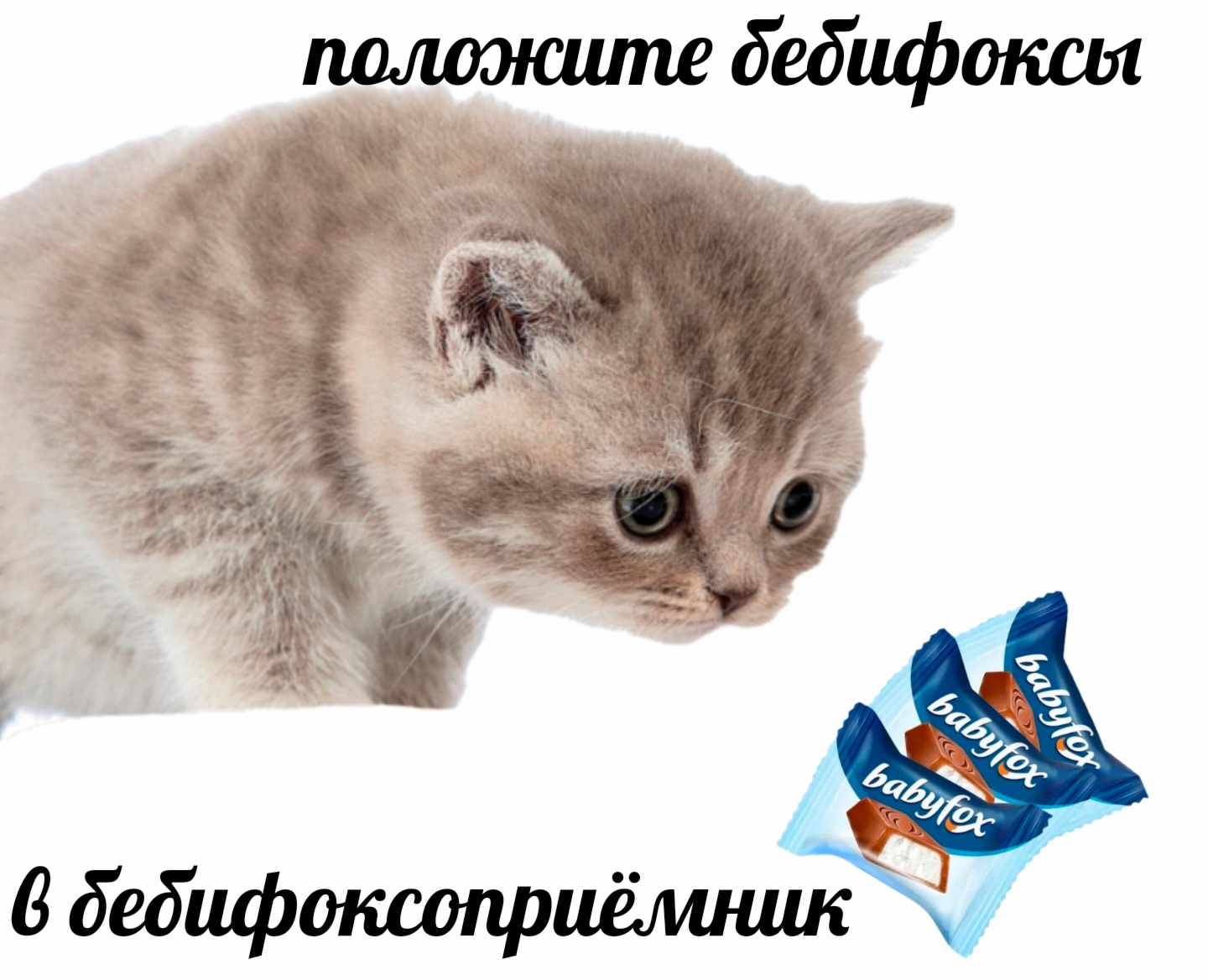 2270.jpg