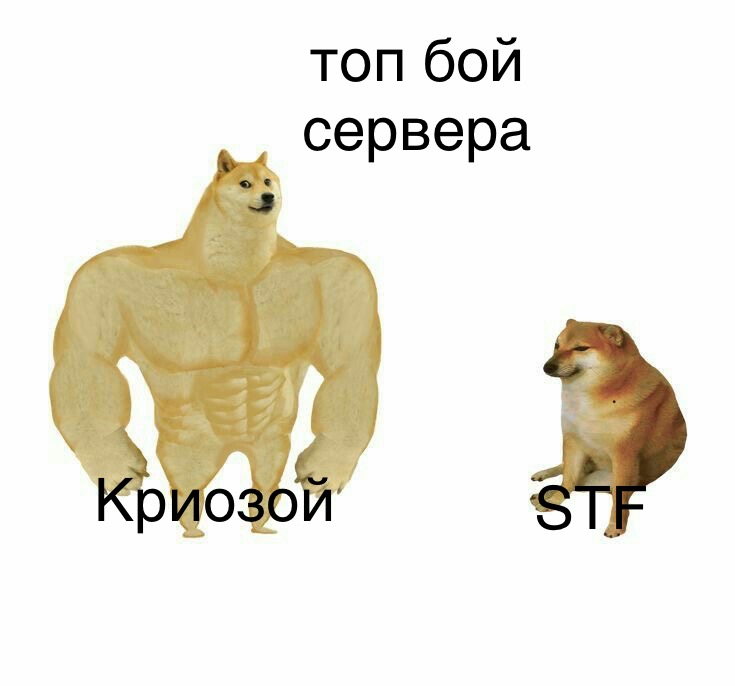 232c9c66bc4ba1154b6132e0ef55133d.jpg