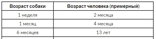 234.png