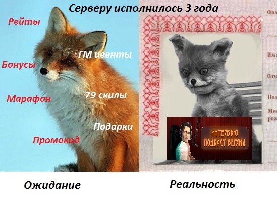 239322.jpeg