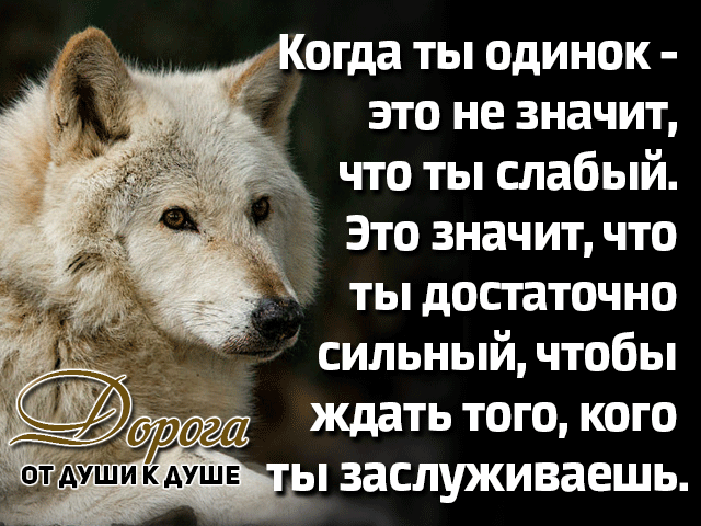 247540949_9cda5a245438e96d5825b49d9a892ea8_800.png