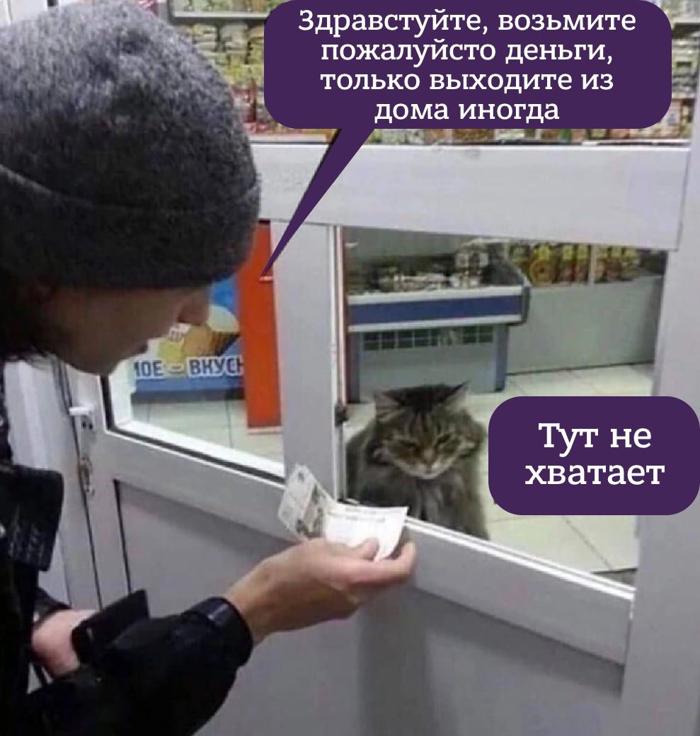 27F99C87-FC44-4329-9FAB-EC3F4E106D1B.jpeg
