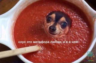 2B877654-0363-4DB1-9917-9C742BD1877F.jpeg