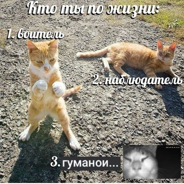 2BD4510C-69B0-455F-8685-B8F173590DF4.jpeg