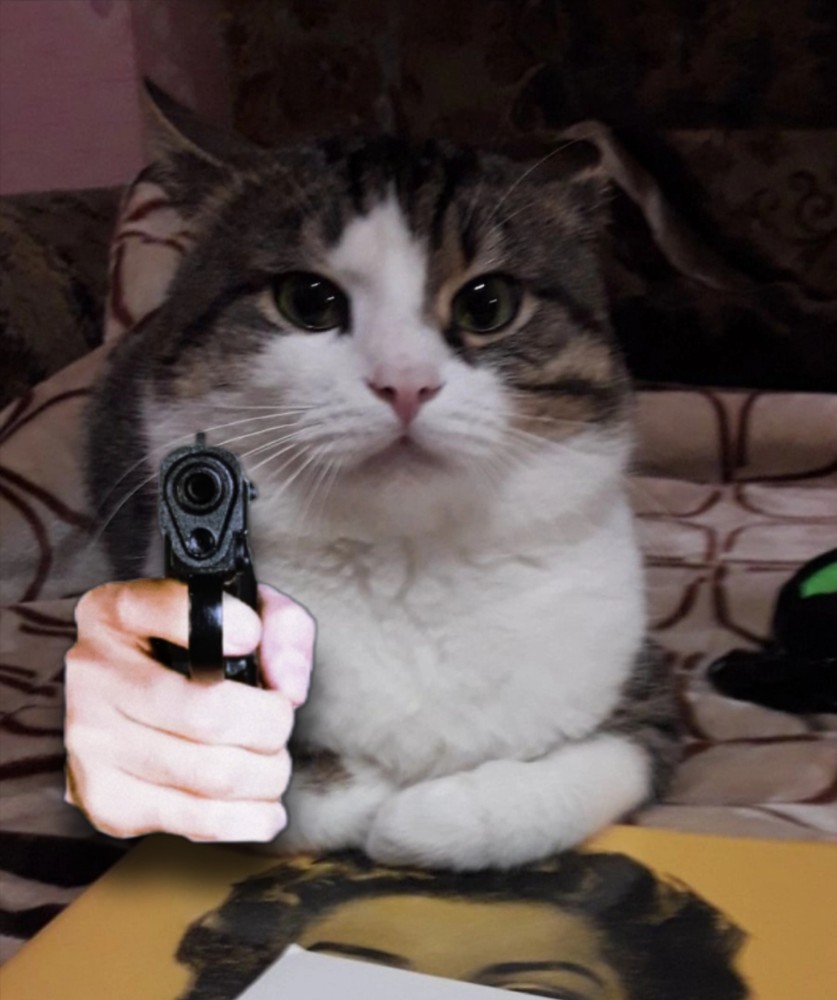 305237.jpg