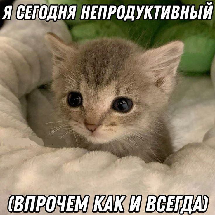 313B8E66-05A3-42C1-AD79-12F3B4A4E5F3.jpeg