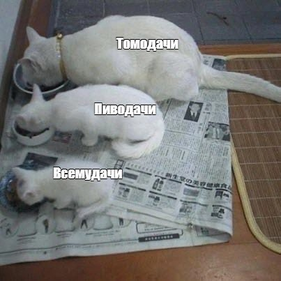 31c570ab1f8140f7411e04e5e267ead8.png