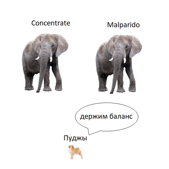 321.jpg