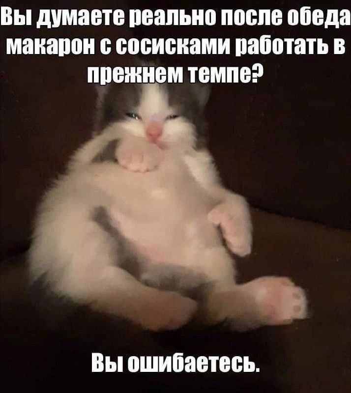 3400935C-B6A5-4732-96D3-A63D3D98E702.jpeg