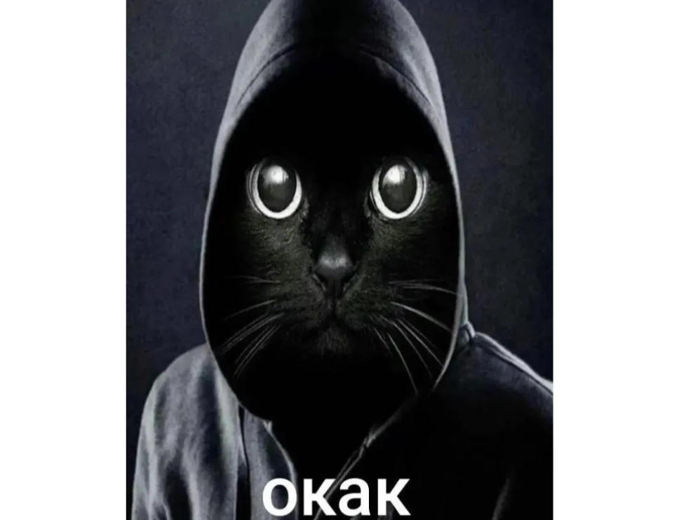 347472273863737.png