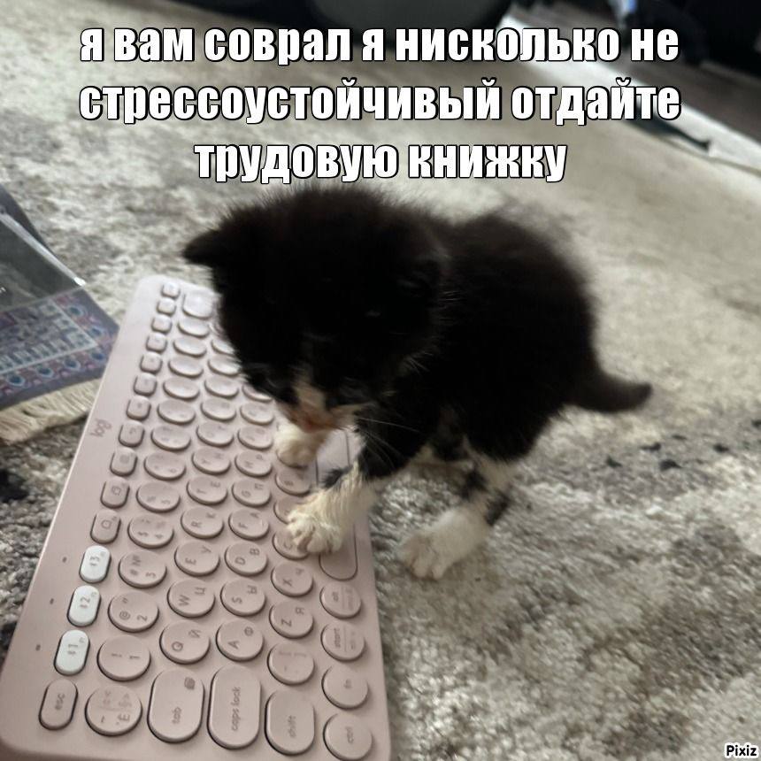 387.jpg