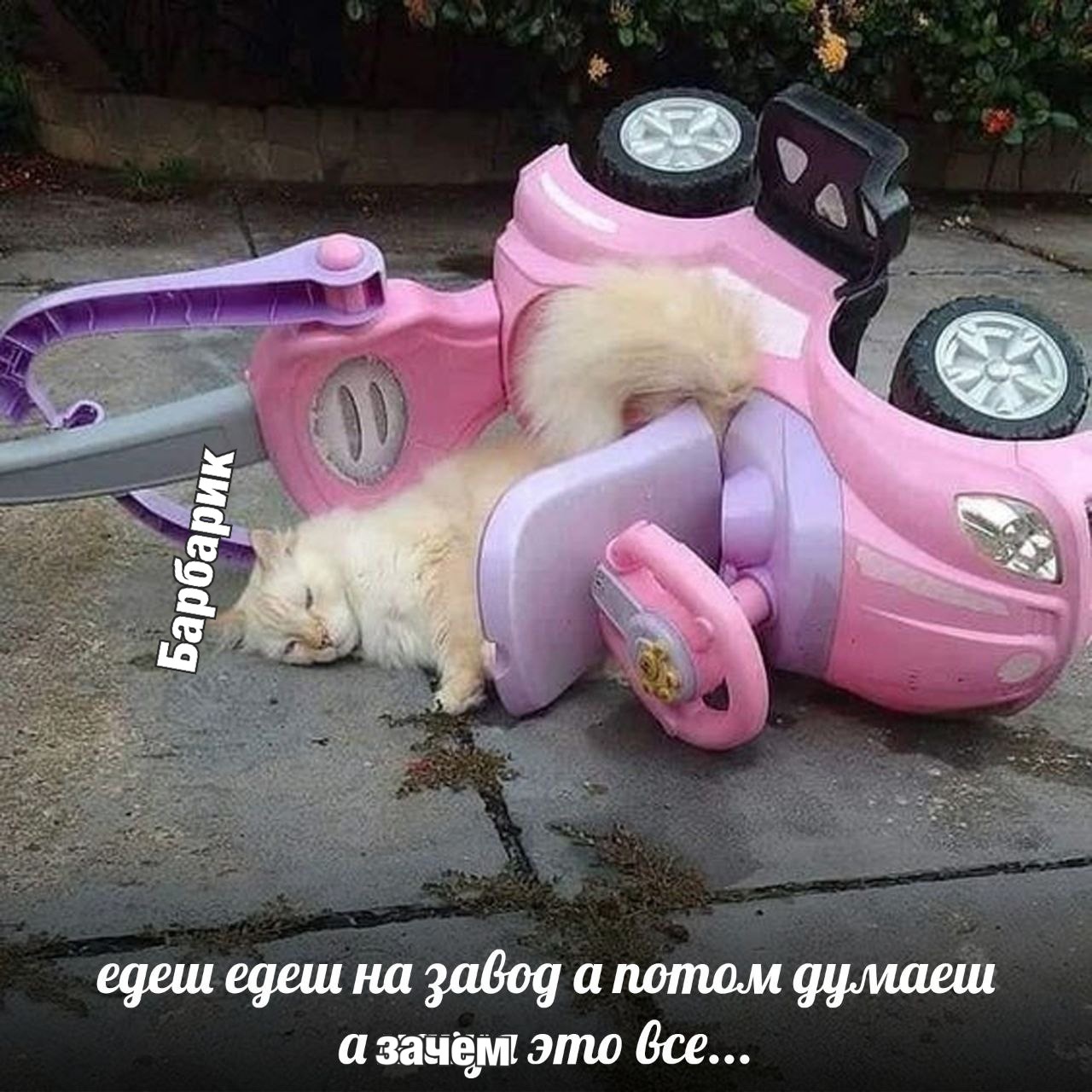38DEBBDC-9E5C-4D8D-8AF9-EAD8695E4368.jpeg