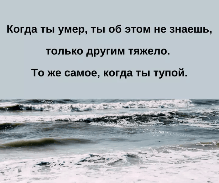 39f472d9dbdc1d32.png