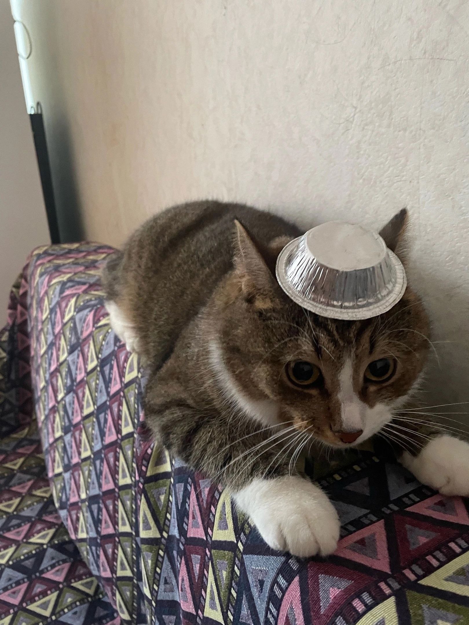 3AB63A5D-4195-424D-9530-F05AE6B929B7.jpeg