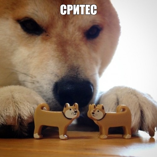 3d9d6c9d625c2842edc356ef1af6bfdf.jpg