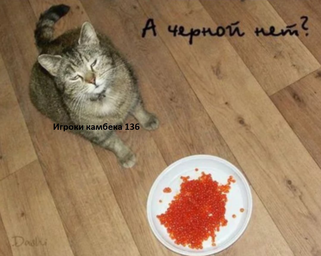 3LCPmJsll3M.jpg
