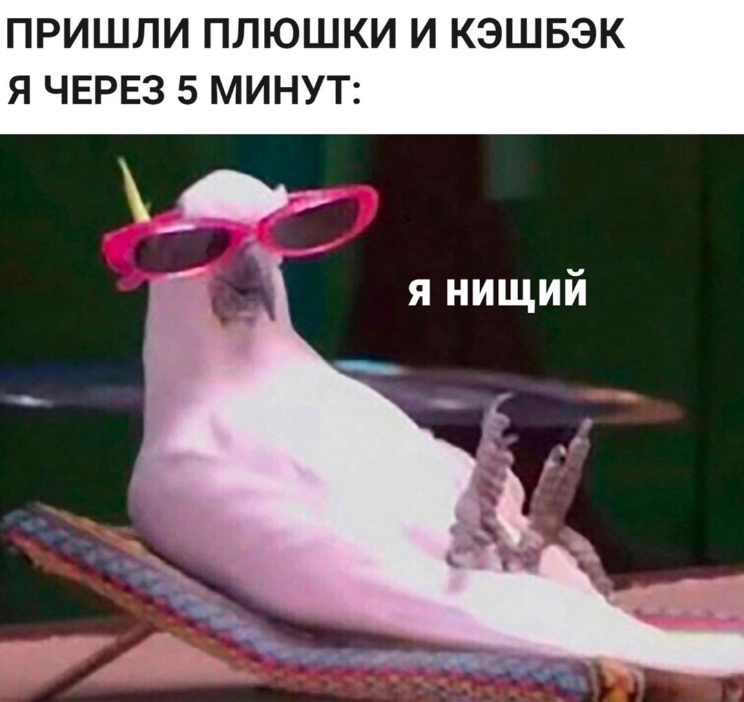 3qQ1Jy5HhLJRxEq9ydVwte1fL_jAcaheWX_AKVy0axPdcdO0YIBX06kw760JNimaM5b7aV5fN0pTW1N442viK_xu.jpg