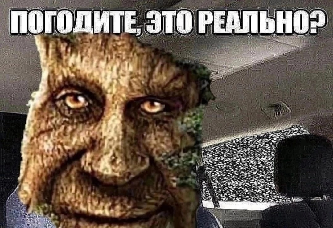 3Zn0Eszoh6w.jpg