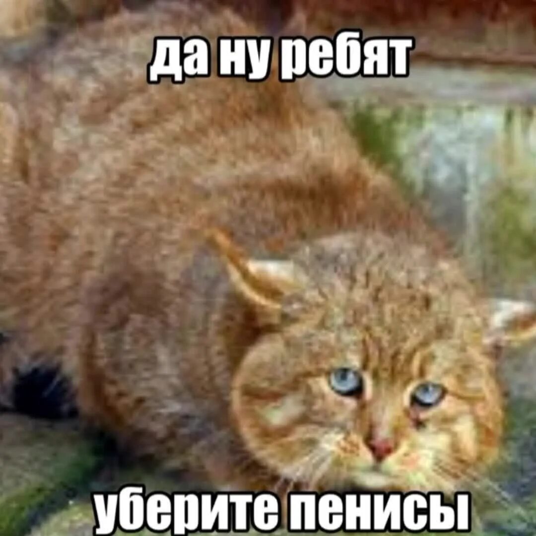 4121.jpg