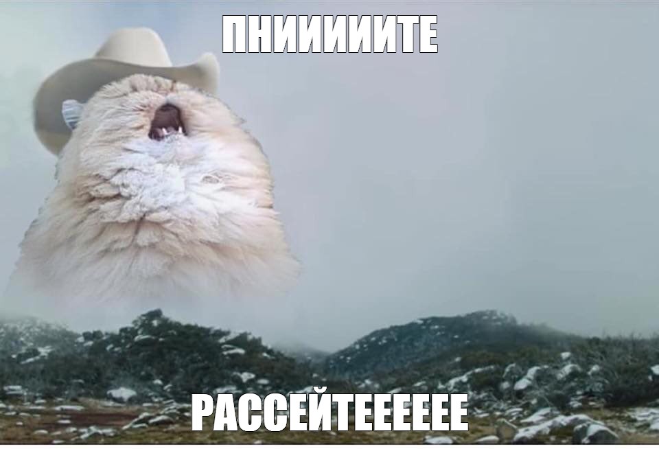 42f13ff94c22c2a712896126642a3d9b.jpg