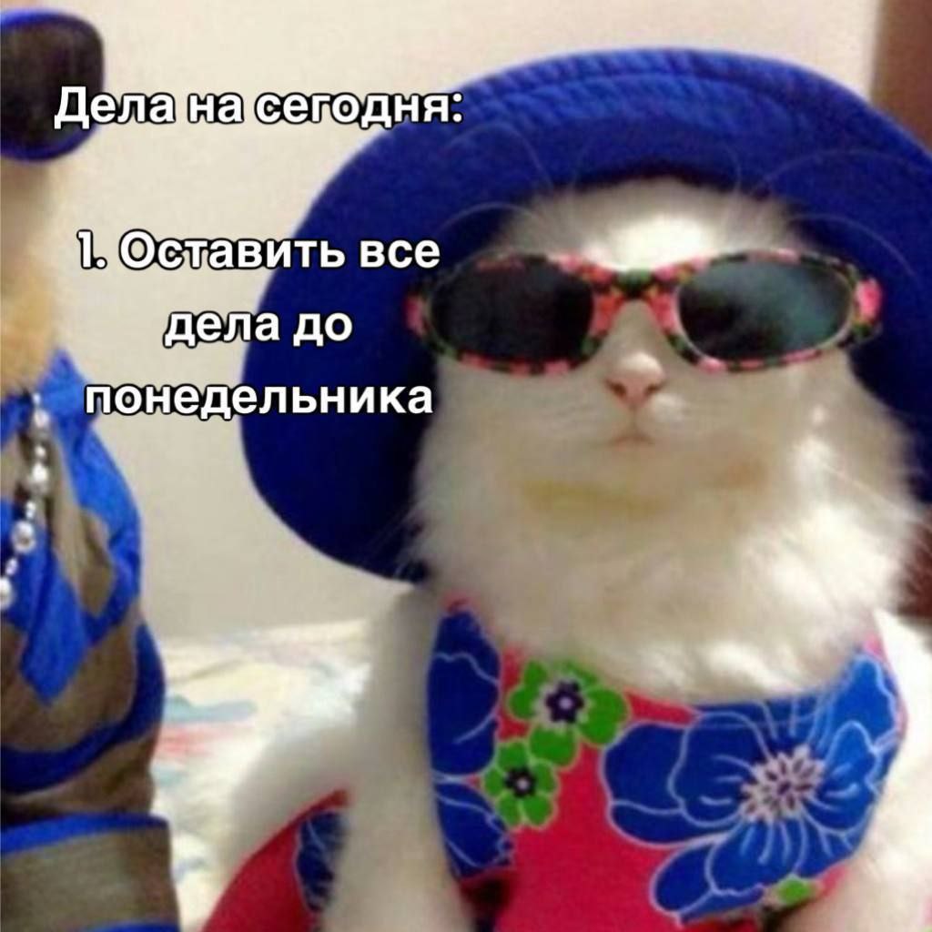 437.jpg