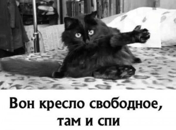 456313FF-5F66-4B21-AD6E-BF7E9B7BC99B.jpeg