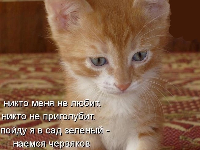 469.jpg