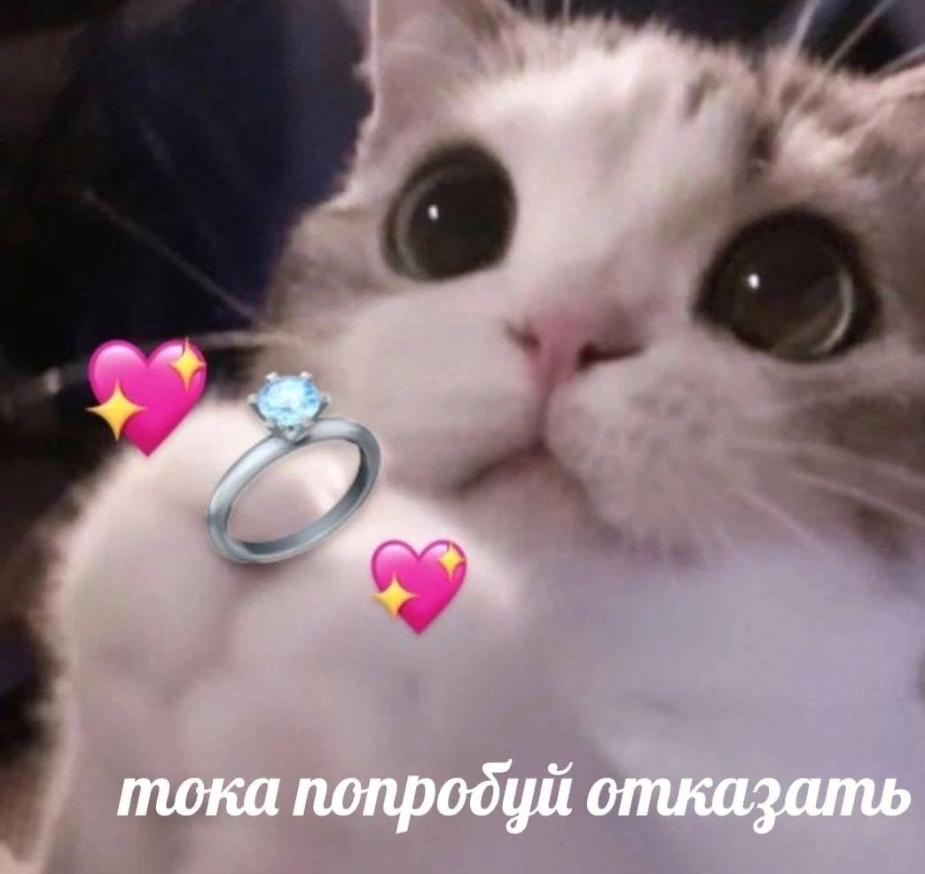 494.jpg