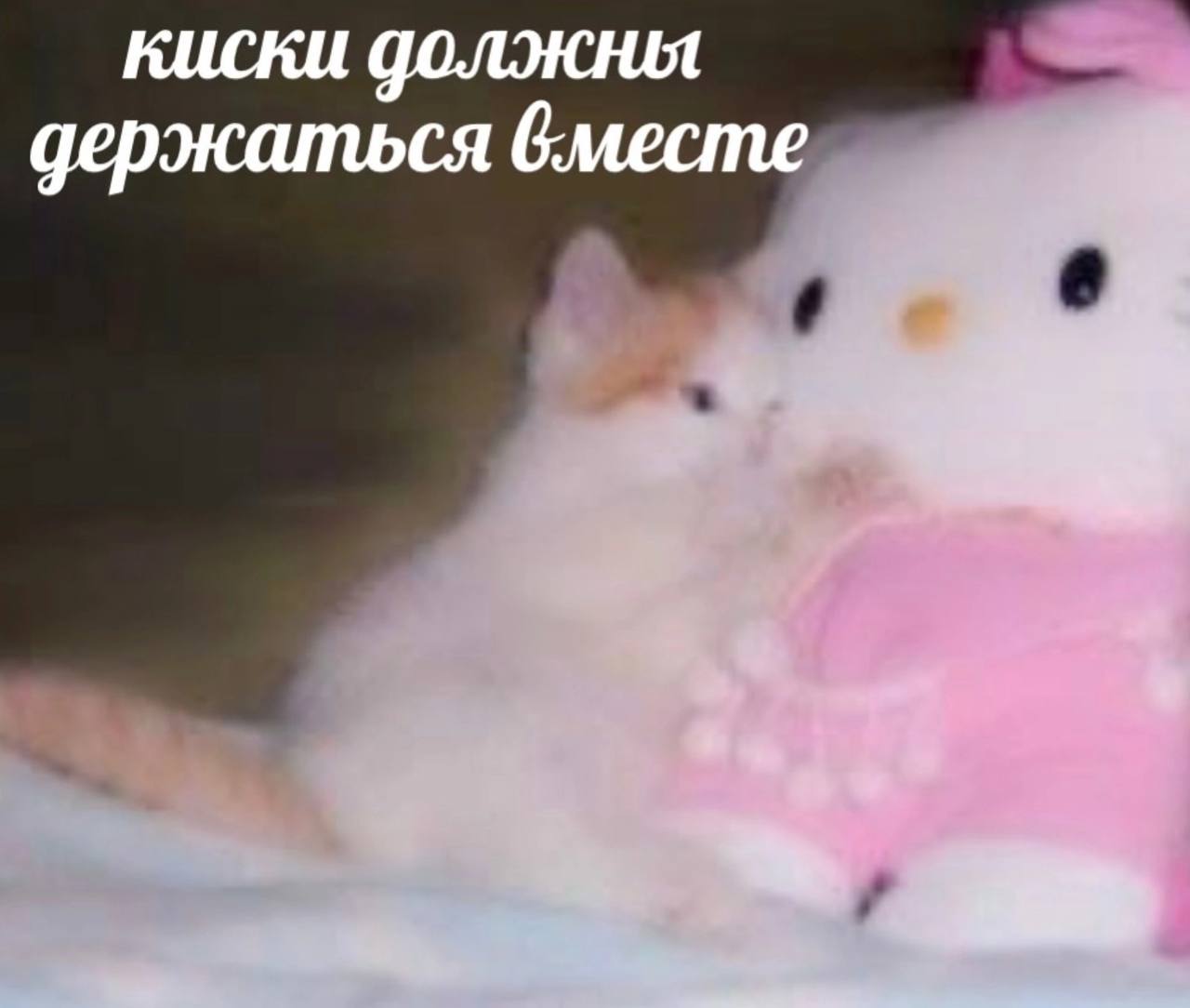 498.jpg