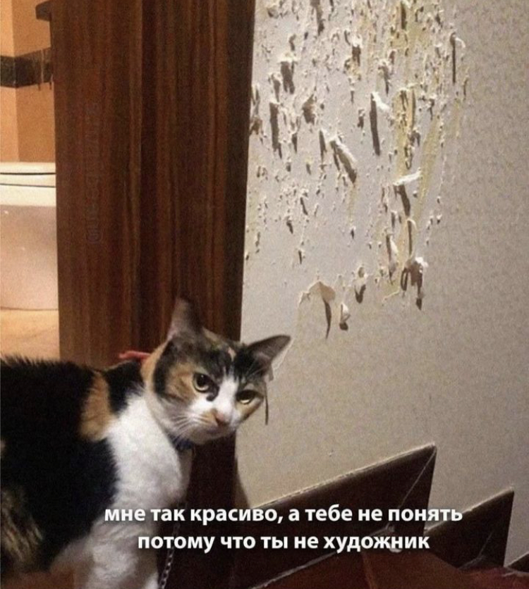 498828E9-6E67-481F-A1CF-02B2F84CCC09.jpeg