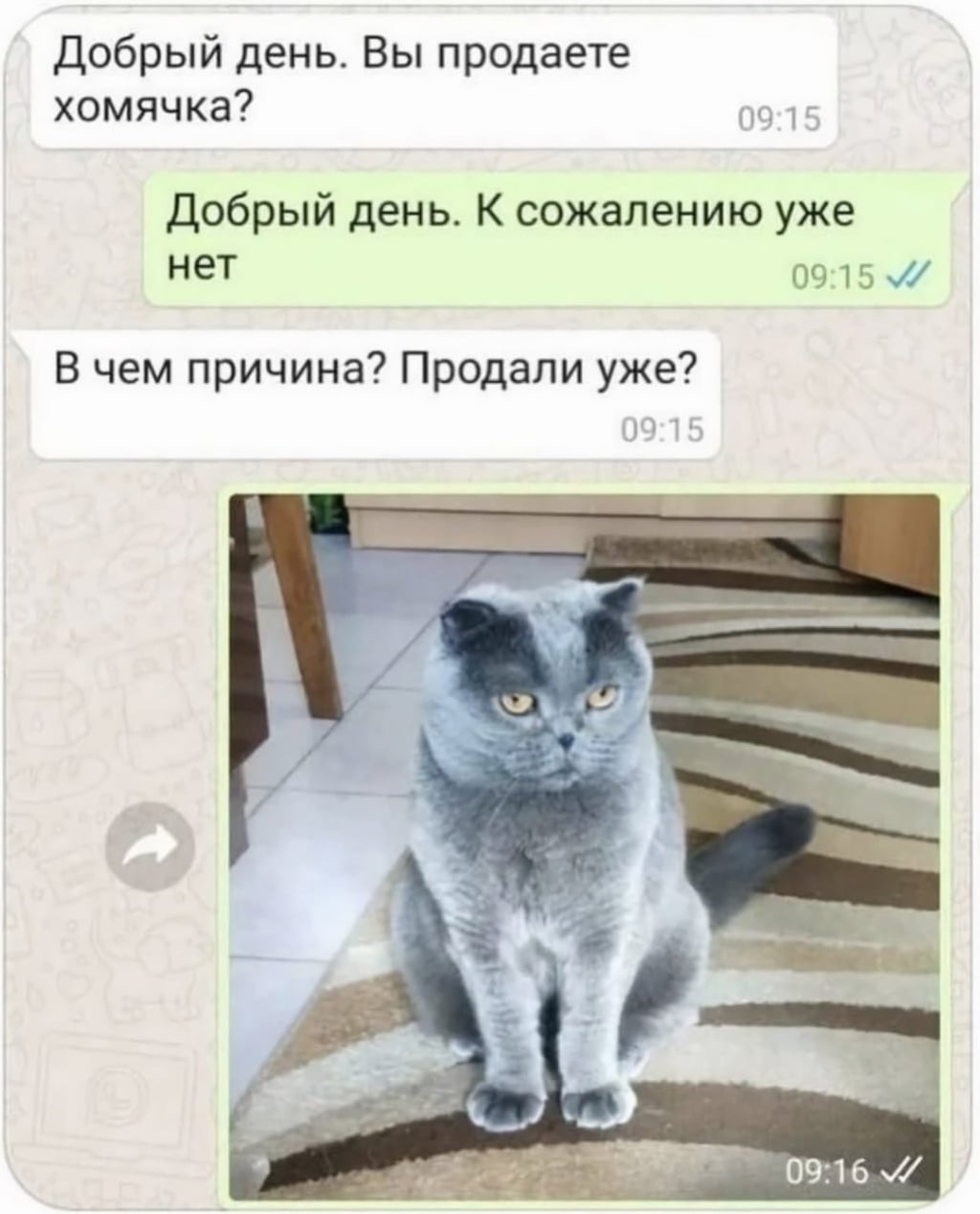 4_WKkrogJYI.jpg