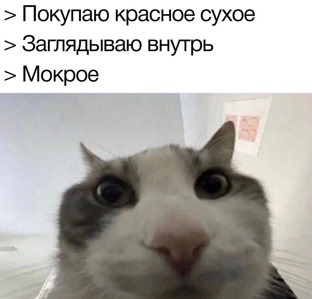 4B8EC5A7-A72B-436C-9963-A0A076DAE87D.jpeg