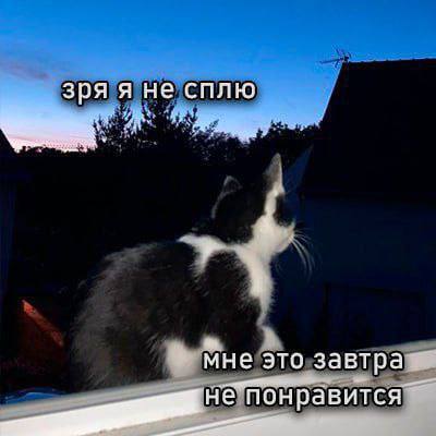 4CA495CF-52B8-43B1-BF3F-F384749560D6.jpeg