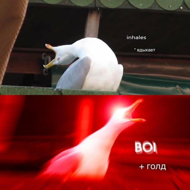 4DA4DE9E-42FA-429E-9719-4E51542C508D.jpeg
