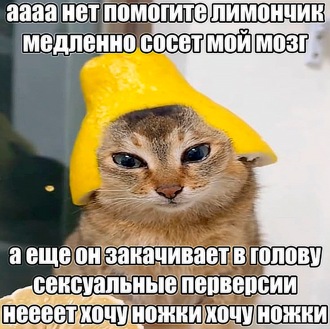 4puUsCl0MnA.jpg