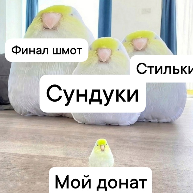 4S6l57c9qSAzbi2_3fV_Rml0uu-ISAS5oSLDdUX2tMvt3bWzkFuLEP6FGUmhYhCEVV6RTmbpnRZrhe0IjR_xjoW5.jpg